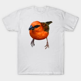 Little red bird / Swiss Artwork Photography T-Shirt